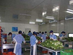 廣州蔬菜配送 打造工廠食堂承包與同城飲食服務(wù)新標(biāo)桿